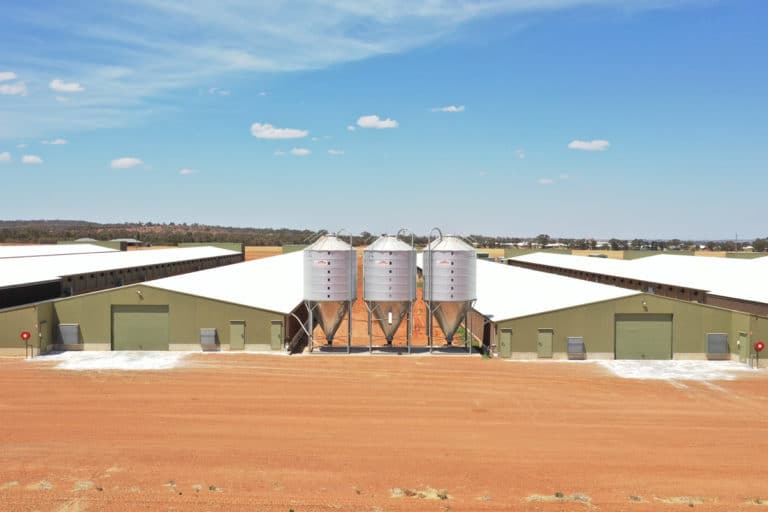 Front of two green poultry shed with three silver grain silos with blue sky