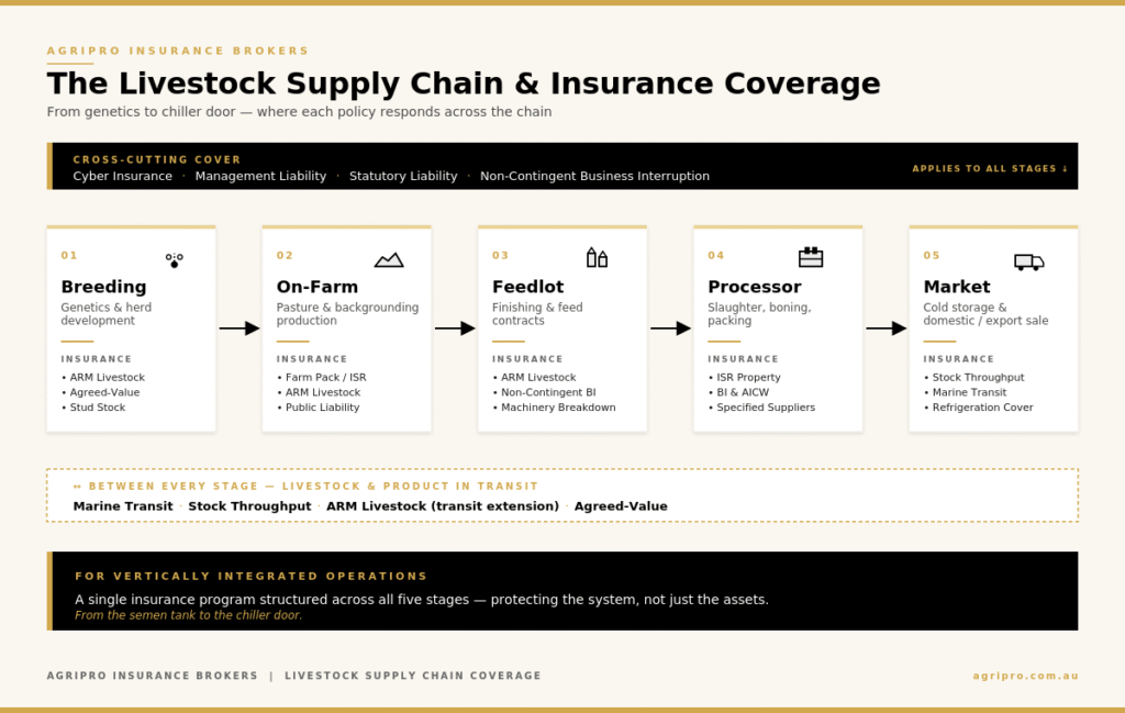 Alt text (most important — screen readers and Google Image Search use this)
Livestock supply chain insurance diagram showing five stages — Breeding, On-Farm, Feedlot, Processor and Market — with the insurance covers that respond at each stage, plus cross-cutting cyber, management liability and statutory liability cover.