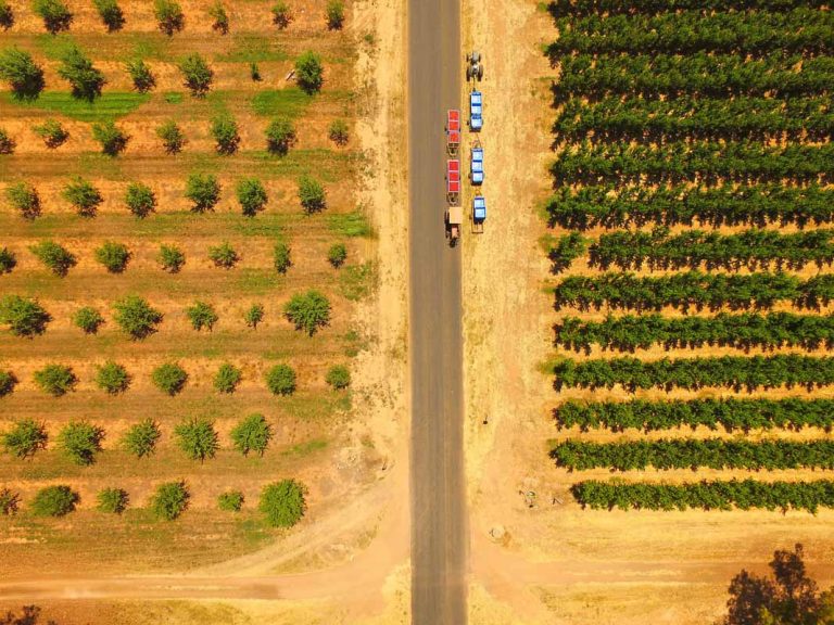 farm insurance brokers aerial view of fruit orchard in Australia