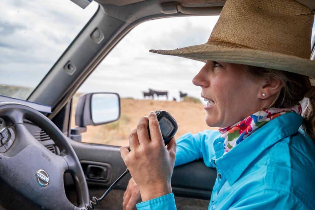 Farm operator mustering cattle — Australian agribusiness covered by management liability insurance