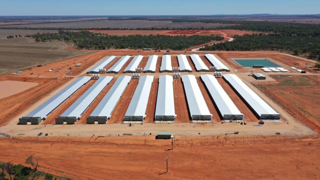 Poultry farm infrastructure and sheds protected under poultry farm insurance Australia
